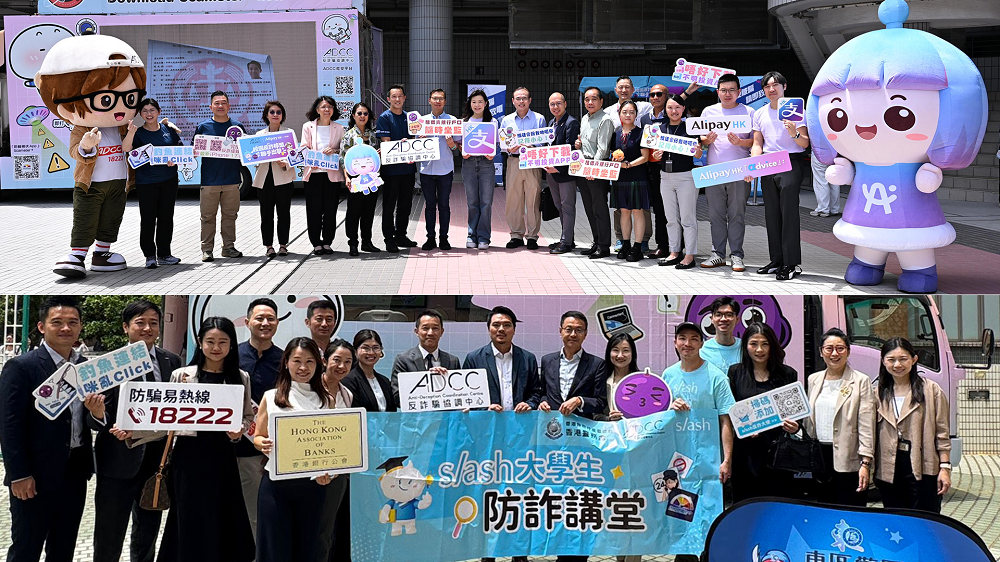 简介及提子乖巧宝宝主题宣传车